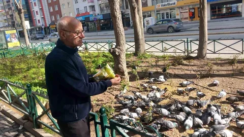 Eskişehir'de Güvercinlere Yem Veriyor