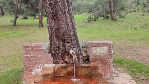Laçin'de Maden Suyu Keyfi