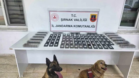 Şırnak'ta Jandarma Operasyonu Gerçekleşti