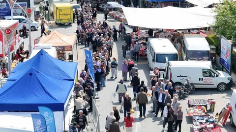 Aydın'da Fide Dağıtımı Yapıldı