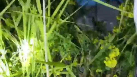 Şanlıurfa'da Mahsur Kalan Kardeşler Kurtarıldı