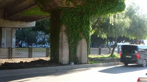 Adana'da Motosiklet Kazası