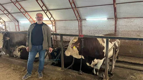 Artvin'de Kurbanlık Hayvanlar Bekliyor