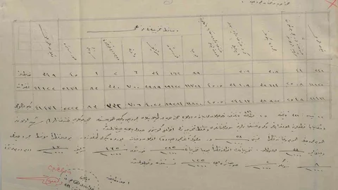 Çanakkale'de Tarihi Sağlık Raporu Ortaya Çıktı