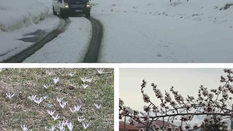 Van'da İki Mevsim Yaşanıyor