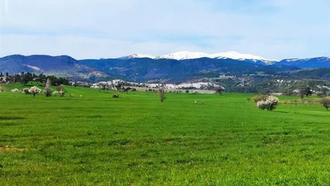 Gediz Baharında Doğa Uyanıyor