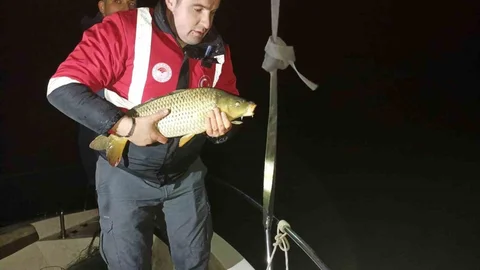 Samsun'da Kaçak Avcılık Denetimi