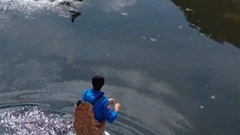 Bafra'da Kanala Düşen Karaca Kurtarıldı