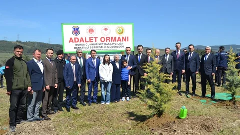 Cengiz Yiğit Anısına Orman Kuruldu