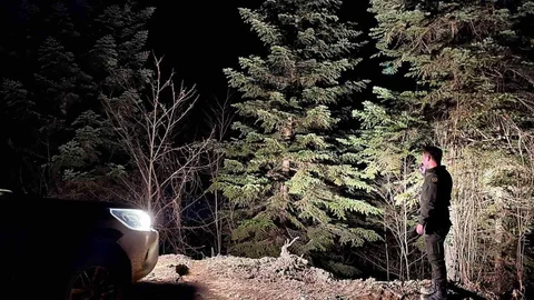 Sinop Ormanları Sürekli Koruma Altında