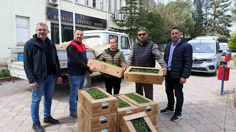 Babaeski'de Domates Fide Desteği