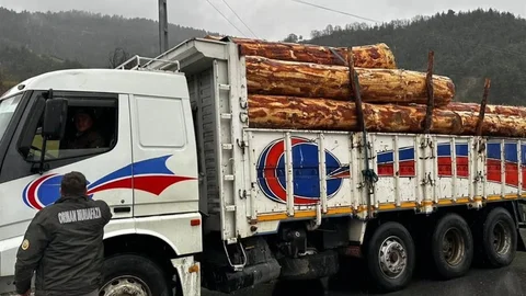 Sinop’ta Orman Ürünleri Denetimi Yapıldı