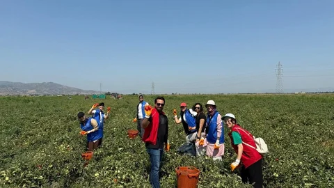 Gönüllü Hasat Etkinliği 2026 Takvimi Açıklandı