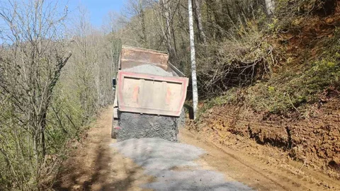 Düzce Bekiroğlu Köyü'nde Parke Çalışmaları Devam Ediyor