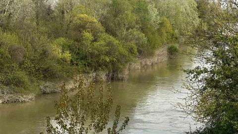 Sakarya Nehri'nde Kayıp Çocuk Aranıyor
