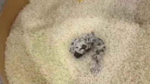 Mersin'de Marketten Skandal Görüntü