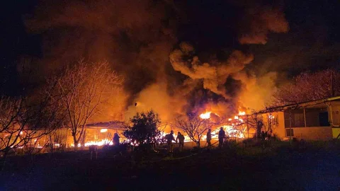 Samsun'da Muz Deposunda Yangın