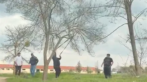 Eskişehir'de Mangal İçin Ağaç Dalını Kırmaya Çalıştılar