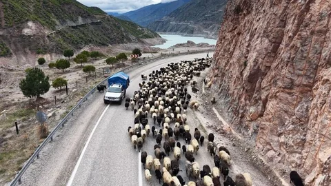 Zorlu Yayla Göçleri Artvin'de Başladı