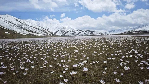 Güzeldere Vadisi'nde Bahar Şöleni