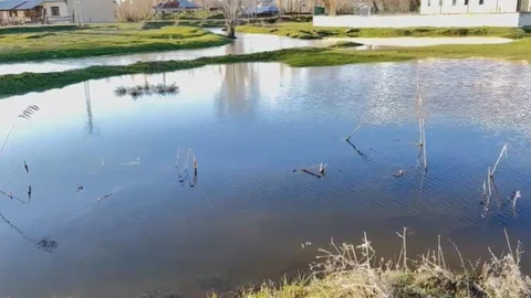 Ağrı'da Sel Suyuna Kapılan Evler