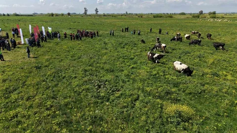 Kozan'da Islah Edilen Mera Alanı Açıldı