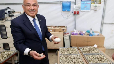 Ordu'da Yeni Sektör Çalışmaları