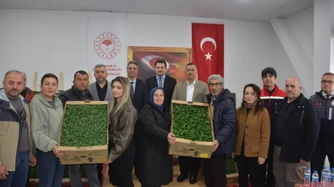 Sinop’ta 135 Bin Fide Dağıtımı Yapıldı