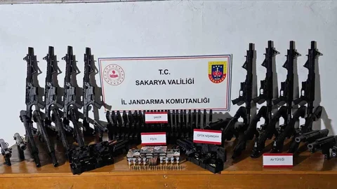 Jandarmadan Geyve'de Silah Operasyonu