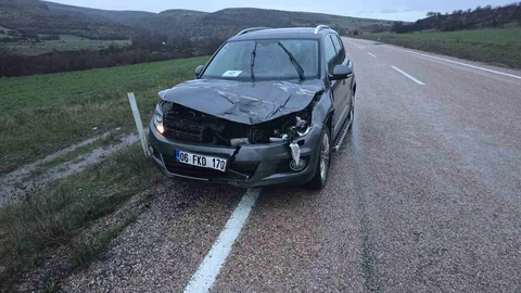 Ankara'da Geyik Çarpma Sonucu Telef Oldu