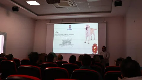 Denizli'de Pet Shoplara Eğitim Desteği