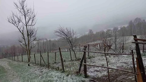 Sakarya Yüksek Kesimlerde Kar Yağışı