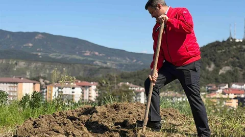 Karabük'te Başkan Çetinkaya Badem Yedi