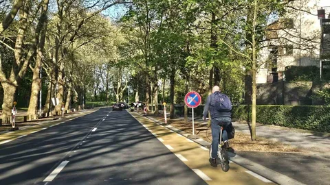 Belçika’da Bisiklet Kullanımı Artıyor