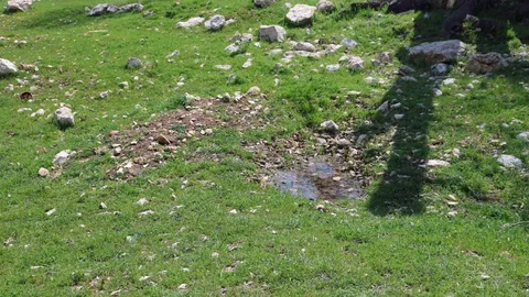 Tunceli'de Gülistan Doku'nun Mezarı Görüntülendi