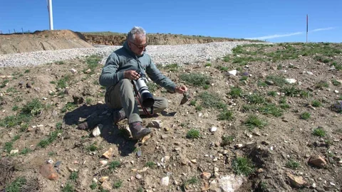 17 Yeni Memeli Türü Kırşehir'de Keşfedildi