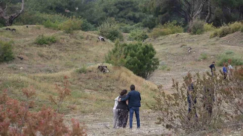 Antalya'da Ormanlık Alanda Cansız Beden Bulundu