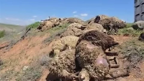 Malatya'da Tır Devrildi, Yaralılar Var