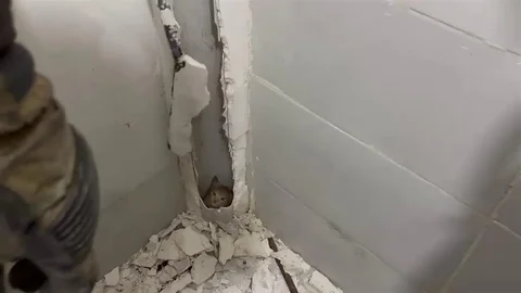 Kedinin Borudaki Kurtuluşu