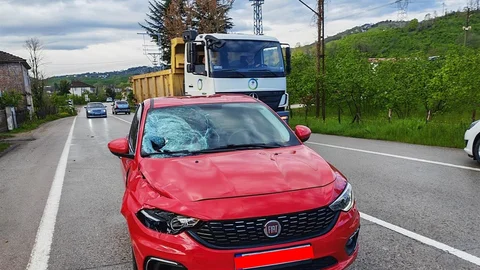 Ordu'da Yaya Otomobilin Çarpması Sonucu Yaralandı