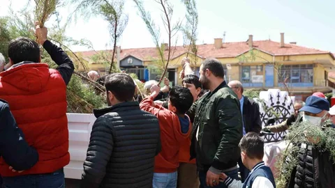 Alaca'da Fidan Dağıtımı Yapıldı