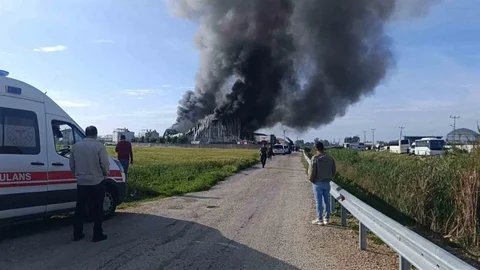 Antalya Manavgat'ta Yangın Çıktı
