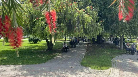 Adana'da Sıcaklık 41 Dereceyi Buldu