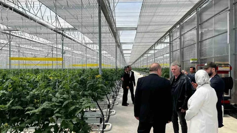 Düzce'de Tarım İncelemesi Yapıldı