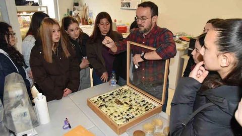 Düzce'de Üniversite İncelemesi Yapıldı