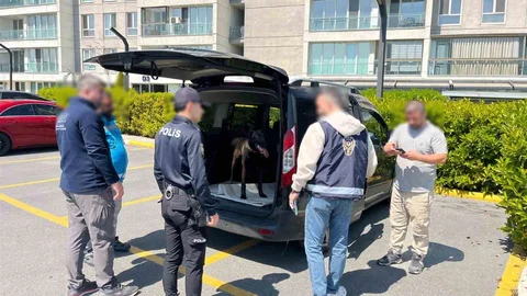 Avcılar'da Köpeğe Kötü Muamele İhbarı