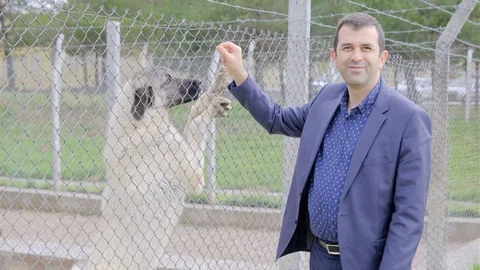Veteriner Hekimlerin Gıda Zincirindeki Rolü