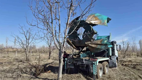 Iğdır'da Kiraz Ağaçları Kesilmekten Kurtarıldı