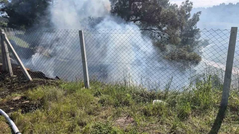 Tarlasındaki otları temizlerken ormanlık alanı yaktı