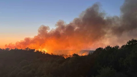 Beykoz'da Orman Yangını Kontrol Altına Alınamadı